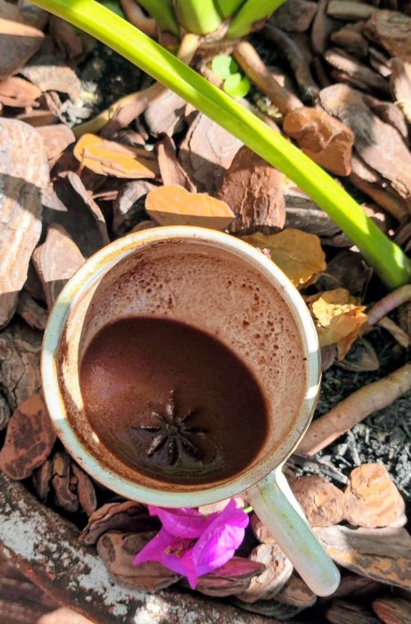 Xícara de cacau medicinal sobre a terra, com anis-estrelado